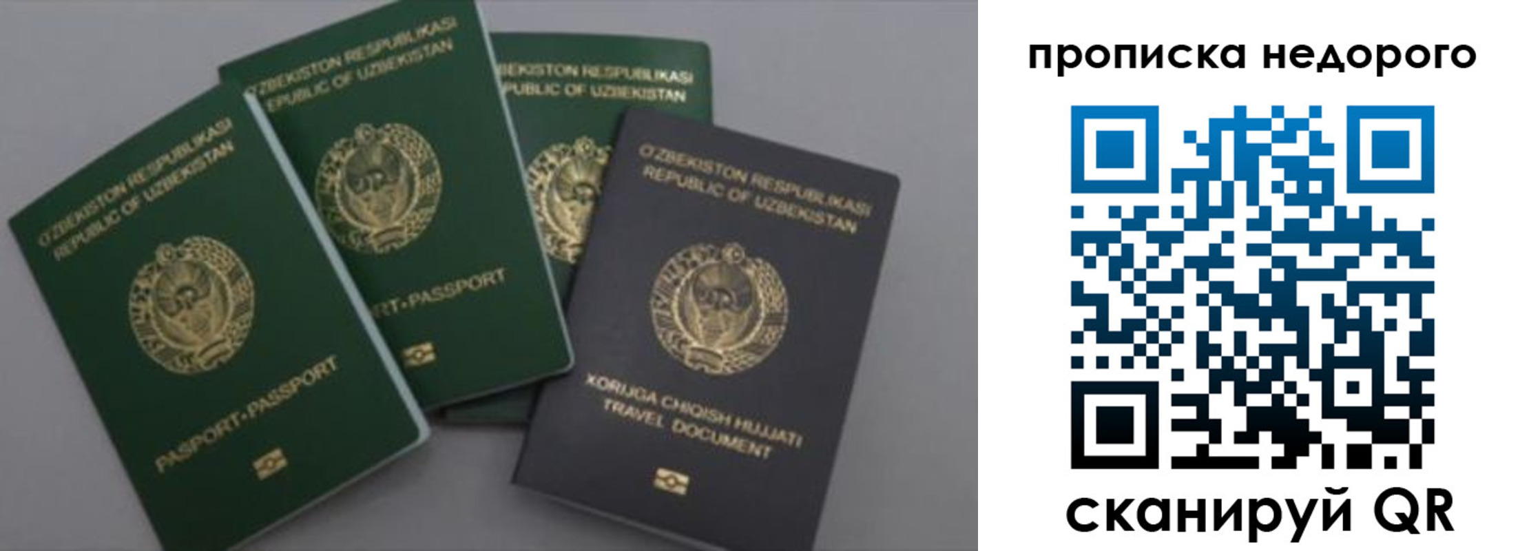 регистрация для школы в Санкт-Петербурге